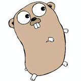 golang64位v1.24.3