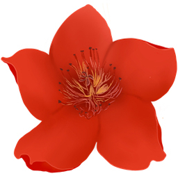 小红花音效助手官网版v15.2.9